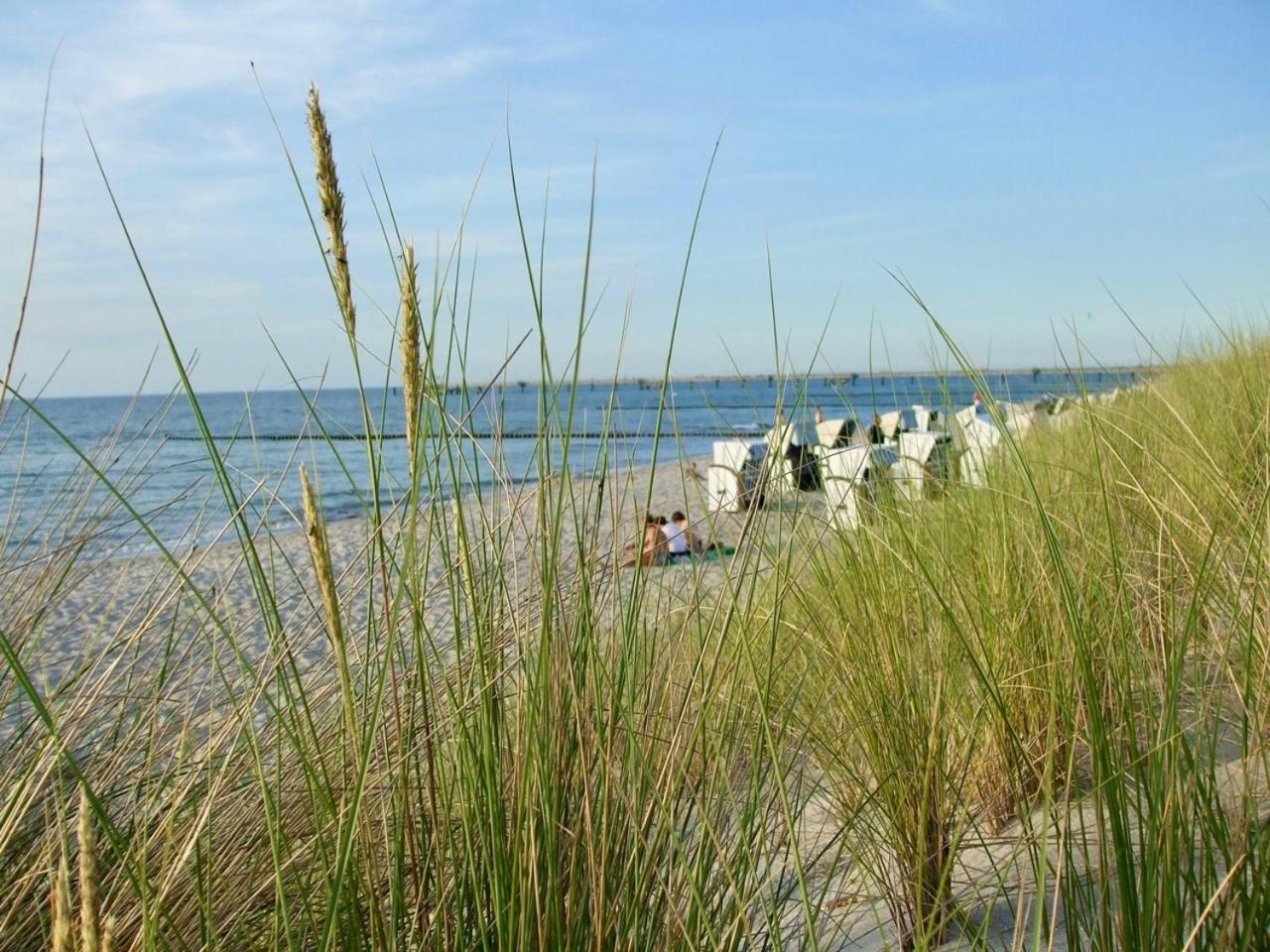 Discovair Graal Mueritz- Apartment Johanna- Strandnah Mit Netflix Esterno foto